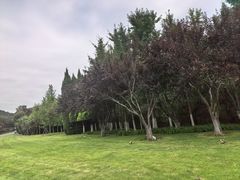 -棒棰岛宾馆景区