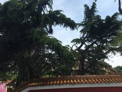 -文化名人故居一条街