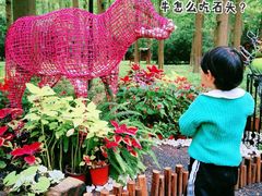 -东平国家森林公园