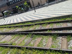 -将府公园