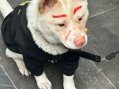 -华兴街自力面店