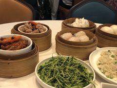 -美心皇宫(屯门大会堂店)