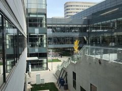 -首都医科大学附属北京天坛医院