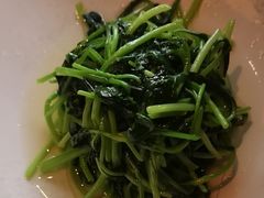 -潇湘楼·二十四节气山野菜(亚运村店)