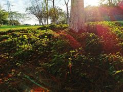 -九里河湿地公园