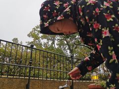 -三鹰之森吉卜力美术馆