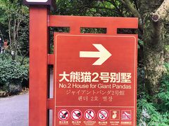 景点-成都大熊猫繁育研究基地