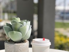 -COFFEE CALL(云锦路店)