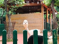 -无锡动物园·太湖欢乐园