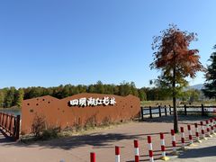 -四明湖