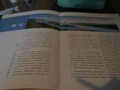 -成都泰合国际大饭店(春熙路太古里店)
