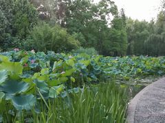 -洛阳市隋唐城遗址植物园