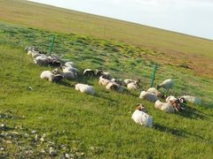 -青海湖国家重点风景名胜区