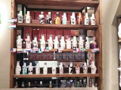 -猫咪博物馆(顶澳仔猫街店)