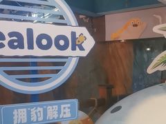 -海合安青岛极地海洋公园