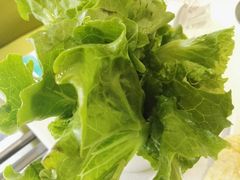 -古乐牛香·鲜牛肉牛杂火锅(新区店)