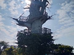 -芒洲湿地公园