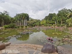 -中国科学院西双版纳热带植物园