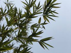 -香园自助小火锅