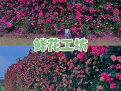 -栖露营camping·天幕烧烤·团建拓展·采摘营地
