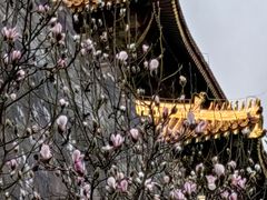 -东华门大街小区