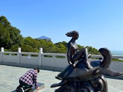 -广东惠东海龟国家级自然保护区