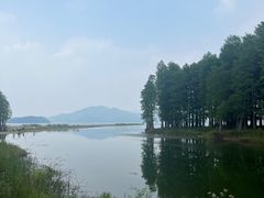 -四明湖