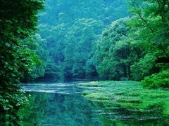 -阿哈湖国家湿地公园