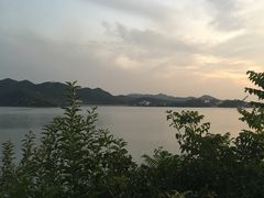 -望湖烤鱼
