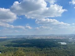 -紫金山天文台