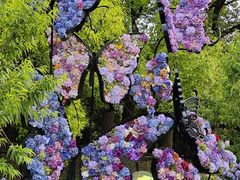 -上海共青森林公园