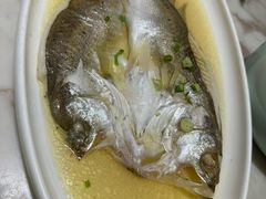 金汤海鲈鱼-老外婆(吾悦广场店)