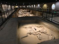 -洛阳周王城天子驾六博物馆