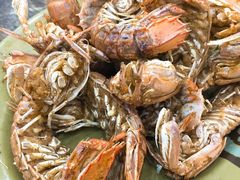 椒盐濑尿虾-贞姨美食·老字号海鲜大排档