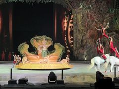 -广州长隆国际大马戏
