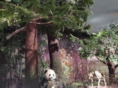 -湖南省地质博物馆