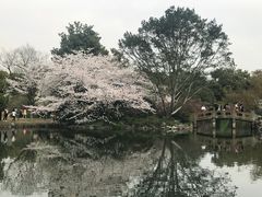 -西湖外事游船(花港观鱼码头)