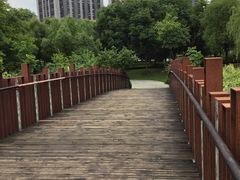 -南翔镇银翔湖公园