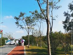 -上海长兴岛郊野公园