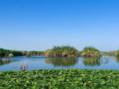 -五甲塘生态湿地公园