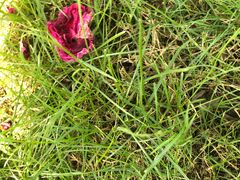 -艾蜜西餐厅(梅园店)