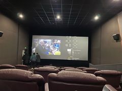 -幸福蓝海国际影城(河西店)