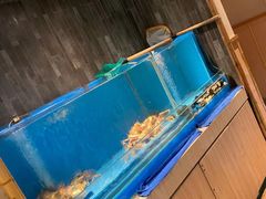 -锅物新语&寿喜烧.炉端割烹(世博源店)