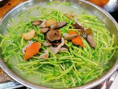 -绿雅居原生态农庄(小涌店)