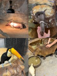 -Zoolung Zoolung动物主题公园(海信广场店)