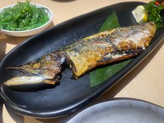 -万岁料理回转寿司(华贸店)