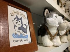 -TrueLove @ Neverland (Husky Cafe)