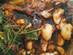 -黄记煌三汁焖锅(顺义华联店)