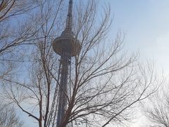 -龙塔