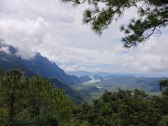 -海南霸王岭国家森林公园